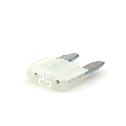 Fuse (Large) (25 AMP) (Pack of 25 Pcs.)