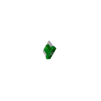 Fuse (Small) (40 AMP) (25 Pcs.)
